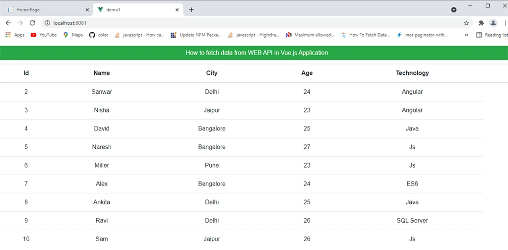 How To Fetch Data From WEB API In Vue.js Application
