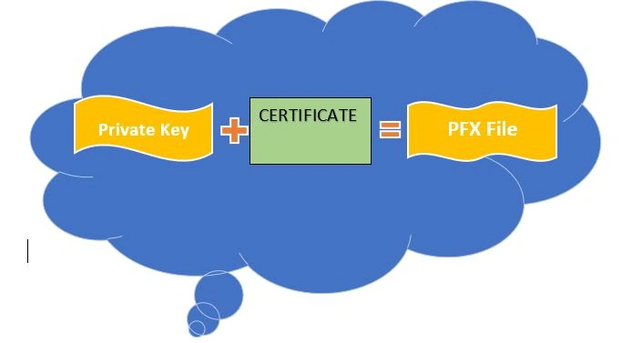What is a .pfx file?
