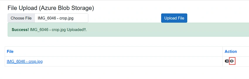 Generate SAS Token and View URL For Azure Blob Storage In Blazor Apps With .NET 7