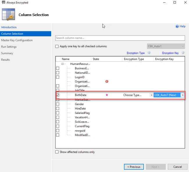 Column Selection