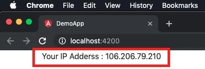 How To Get The Client IP Address In Angular Application