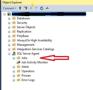 How To Hit MVC Endpoint Using SQL Job