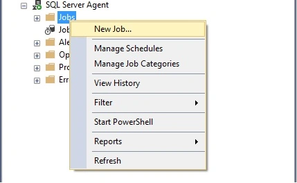 How To Hit MVC Endpoint Using SQL Job