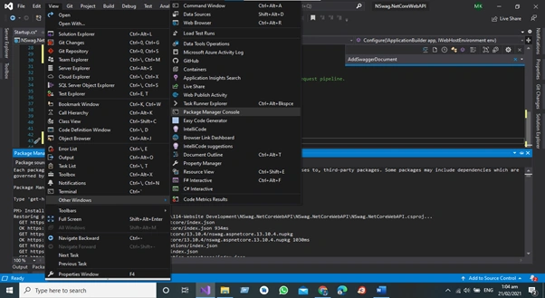 Package Manager Console