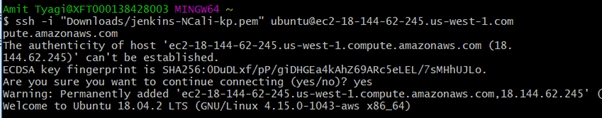 How to Install Jenkins Server On AWS EC2 Instance