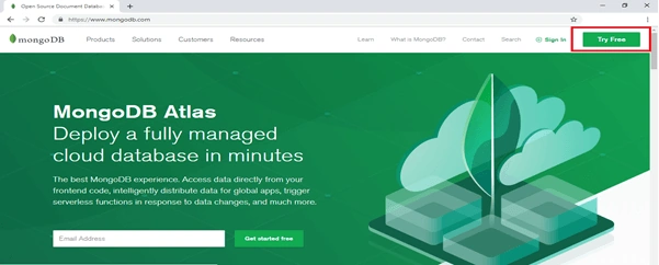 How To Install MongoDB Locally And Perform CRUD Operations