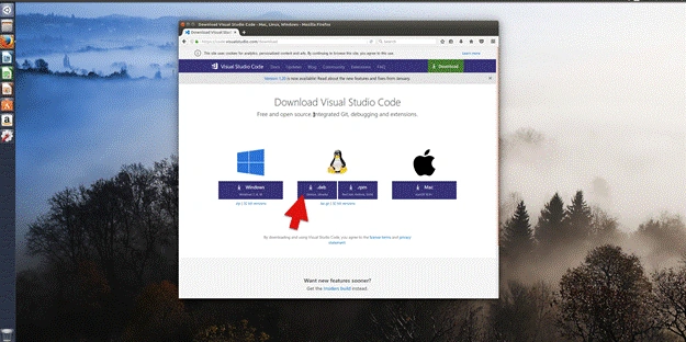 .Net Core 