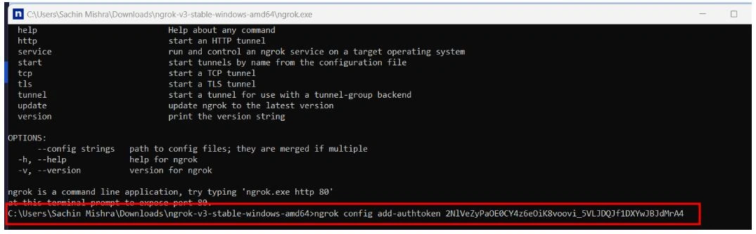 NgRok Authentication