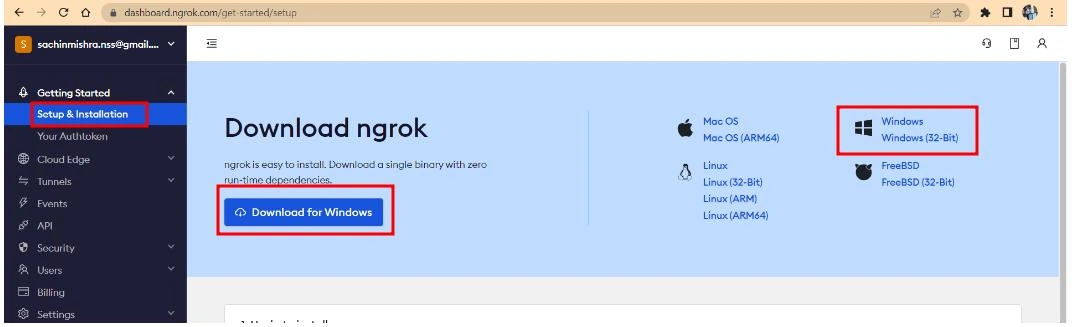 NgRok downloads