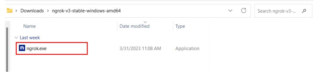 NgRok Extract file