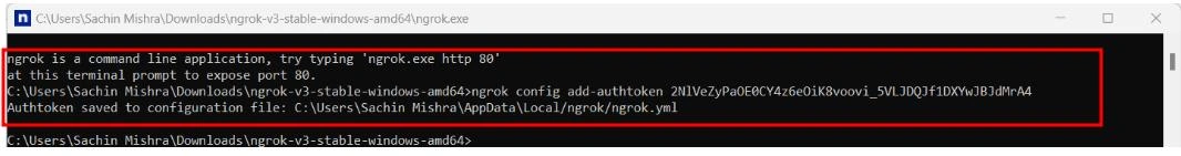 NgRok output