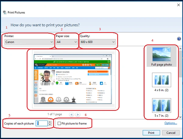 print window will appear
