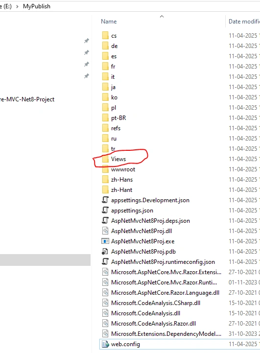 How-To-Publish-CSHTML-in-AspNet-Core-MVC-Net8-Project