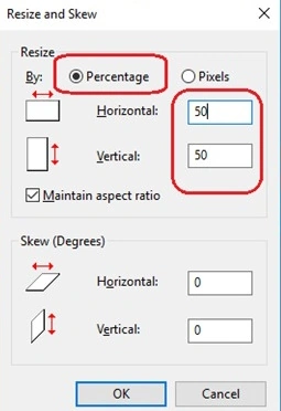 Resize amd skew window-