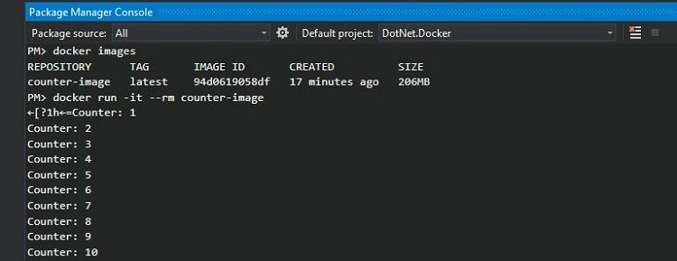 Window Docker Run