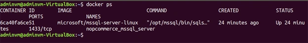 How To Run nopCommerce On Linux Using Docker