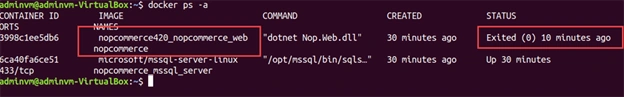 How To Run nopCommerce On Linux Using Docker