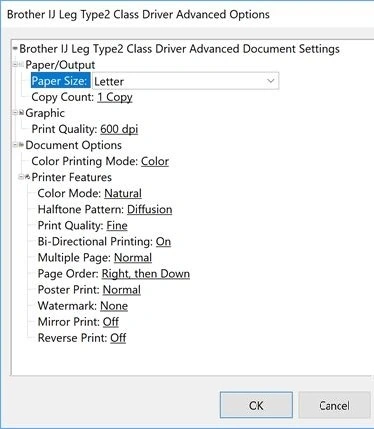 Advanced Printer Setting