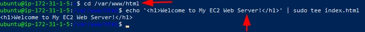 Root directory