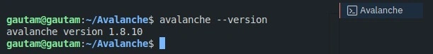 Avalanche CLI