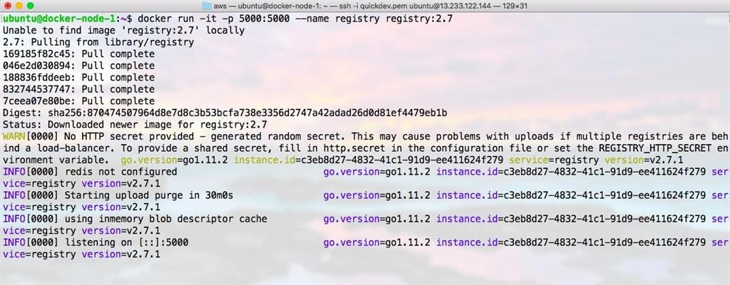 Running the first Registry Server
