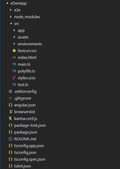 How To Setup Angular 8 App