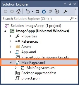 Solution Explorer