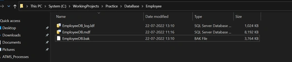 DB Backup on path