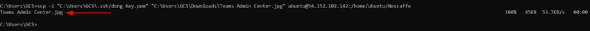 File transfer