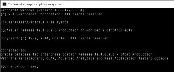 Container Database 