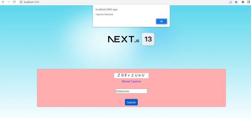 How to use captcha in Next Js app