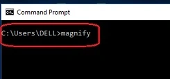 Magnify