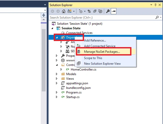 Nuget Package