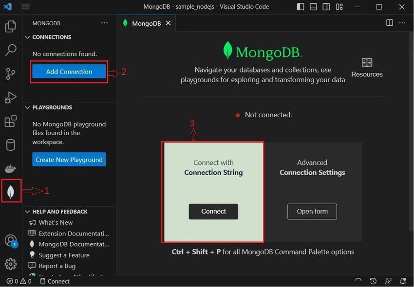 MongoDB Add Connection