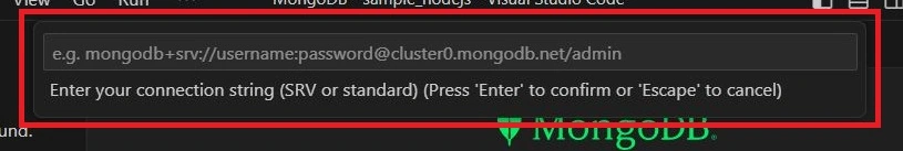 MongoDB Add Connection
