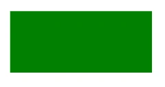 What is SVG