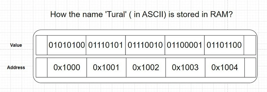 Binary Representation