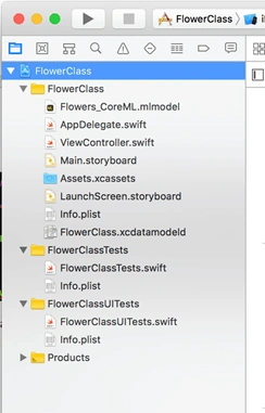 iOS