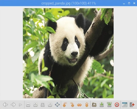 Image Recognition Using TensorFlow And Raspberry Pi