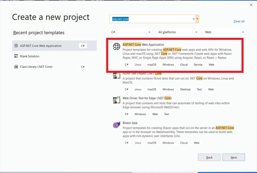 Web Application option