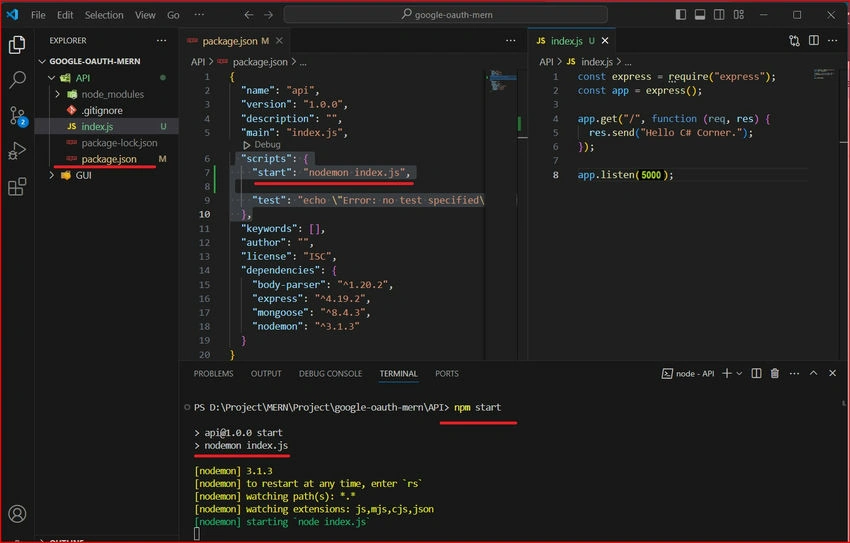 Npm start