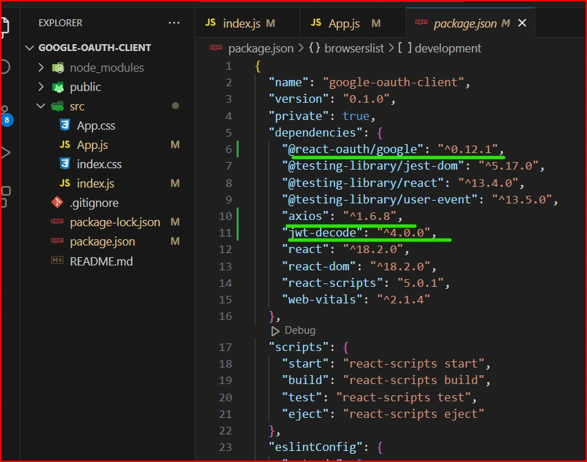 Npm install