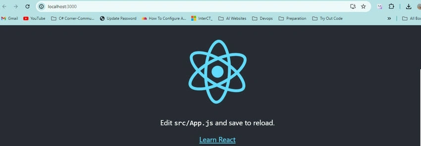 npm start