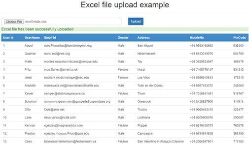 Import Excel File In Angular 7 Using Web API And SQL Server