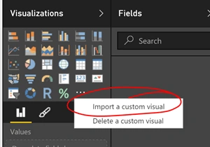 custom visual