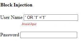 Injection Flaws.edited