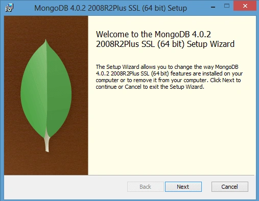 mongoSetup