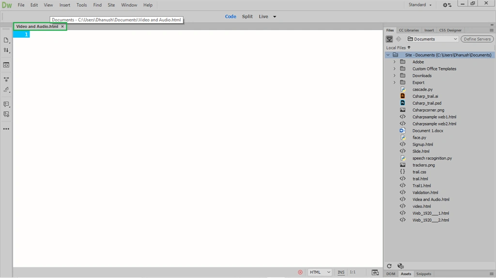 Inserting Video And Audio In A Website