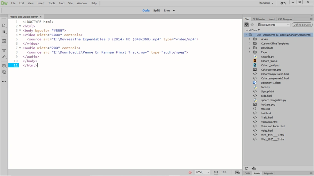 Inserting Video And Audio In A Website