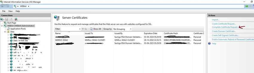 Server Certificate